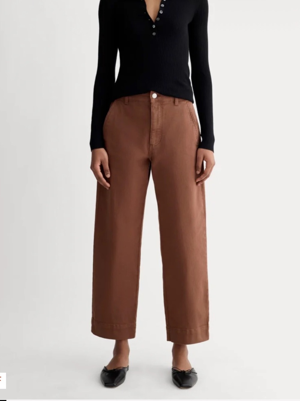 Everlane - The Utility Straight Leg Pants in Rosewood